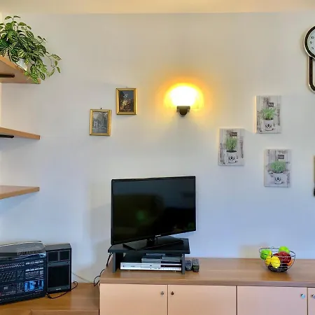 Camelia Apt