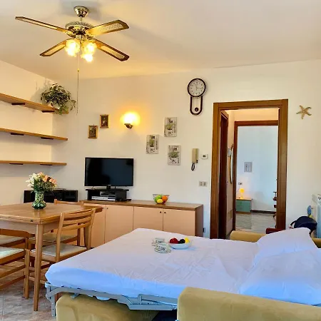 Camelia Apt *