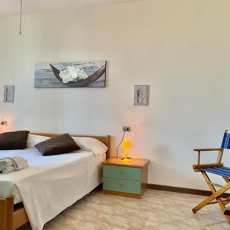 Camelia Apt